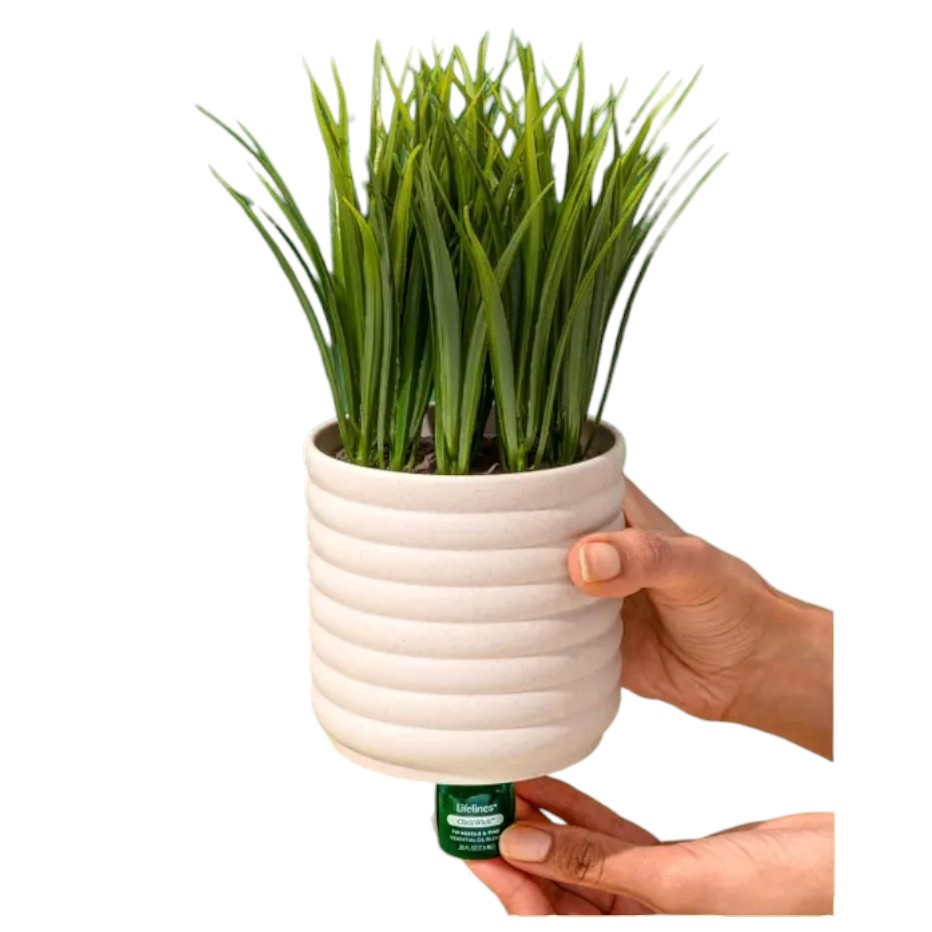 [807355] Plant Diffuser - Grass Plant - Bubble White